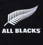 adidas All Blacks サポーター半袖Tシャツ ブラック: