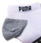 PUMA 3Pスニーカーソックス ホワイト: