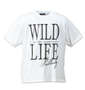WILD LIFE ボーダー柄ノースリーブパーカー+半袖Tシャツ ブラック×ホワイト: Tシャツ