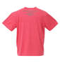 PREPS 半袖Tシャツ レッド杢: バックスタイル
