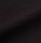 SHELTY 星条旗BOXロゴ刺繍半袖Tシャツ ブラック: 生地拡大