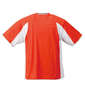 DESCENTE ブリーズプラス半袖Tシャツ オレンジ: バックスタイル