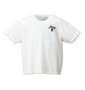 Roen grande 斜め膨れジャガード半袖Tシャツ ホワイト: