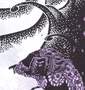 風千代 Tシャツ(半袖) ブラック: