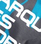 LE COQ SPORTIF ラグランTシャツ ブルー×ダークグレー: