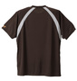 PONY 半袖Tシャツ ブラウン: バックスタイル