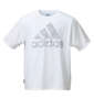 adidas 半袖Tシャツ ホワイト: