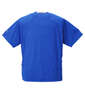 DESCENTE エアスルーメッシュ半袖Tシャツ ブルー: バックスタイル