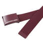 DCSHOES WEB BELT3 フィグ: