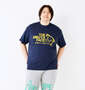 豊天 THE BIBUTA FACE DRYハニカムメッシュ半袖Tシャツ ネイビー: 身長:182cm/バスト:123cm/着用サイズ:3L