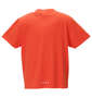 RIP CURL BARBOSA BOX半袖Tシャツ オレンジ: バックスタイル