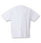 VANS FLV USA半袖Tシャツ ホワイト: バックスタイル