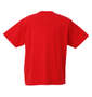 VANS FLV USA半袖Tシャツ レッド: バックスタイル