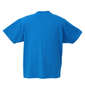 VANS Wave&Surf半袖Tシャツ ターコイズ: バックスタイル