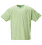 OCEAN PACIFIC プリント半袖Tシャツ グリーン: