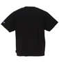 DCSHOES 23 ARCH LOGO半袖Tシャツ ブラック: バックスタイル
