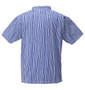SRIXON 【松山英樹プロモデル】変形ストライプ半袖シャツ ブルー: バックスタイル