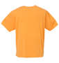 LE COQ SPORTIF 杢スムースグラフィックプラクティス半袖Tシャツ オレンジ: バックスタイル
