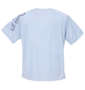 DESCENTE 半袖Tシャツ アイスグレー: バックスタイル