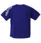 DESCENTE 半袖Tシャツ ブルー: バックスタイル