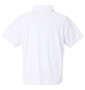 DESCENTE SUNSCREENミニ鹿の子FULL GRAPHIC半袖ポロシャツ ホワイト: