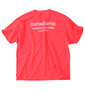 RUSTY PEARTEX半袖Tシャツ ピンク: バックスタイル
