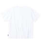 DCSHOES 24 BIG STAR半袖Tシャツ ホワイト: バックスタイル
