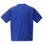 LE COQ SPORTIF ヘランカサンスクリーン半袖Tシャツ ブルー: バックスタイル