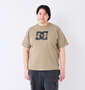DCSHOES 25SPLASH LOGO半袖Tシャツ ベージュ: 身長：182cm/バスト：123cm/着用サイズ：3L
