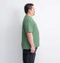 Mc.S.P オーガニックコットンクルーネック半袖Tシャツ グリーン: