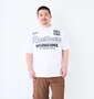 RealBvoice DRYストレッチW-WINGS半袖Tシャツ ホワイト: 身長：176.5cm/バスト：118cm/着用サイズ：3L
