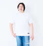 KARL KANI 天竺半袖Tシャツ ホワイト: 身長：182cm/バスト：123cm/着用サイズ：3L