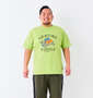 KRIFF MAYER WET PROTECTタートル半袖Tシャツ ライトグリーン: 身長：178cm/バスト：120cm/着用サイズ：3L