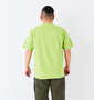 KRIFF MAYER WET PROTECTタートル半袖Tシャツ ライトグリーン: