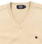 POLO BCS Vネックベスト ベージュ: