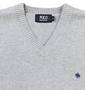 POLO BCS Vネックベスト グレー:
