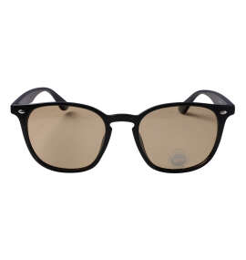 DCSHOES 26ANGULARサングラス ブラック×ブラウン