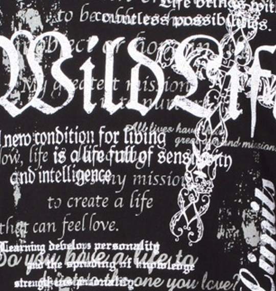 WILD LIFE ジャージ+T半袖セット ホワイト×ブラック