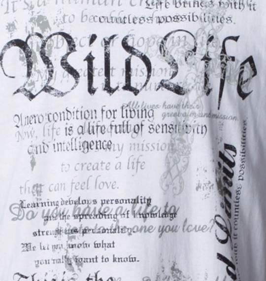 WILD LIFE ジャージ+T半袖セット ブラック×ホワイト