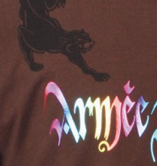 Armee Francaise Tシャツ ブラウン