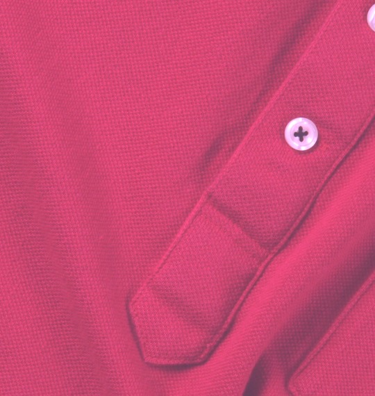 POLO BCS B.Dポロシャツ(半袖) ワイン