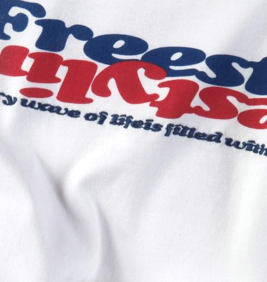 OCEAN PACIFIC Tシャツ(半袖) ホワイト