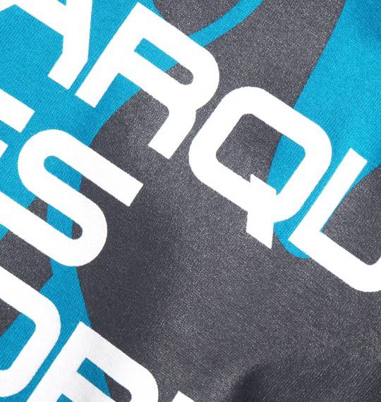 LE COQ SPORTIF ラグランTシャツ ブルー×ダークグレー