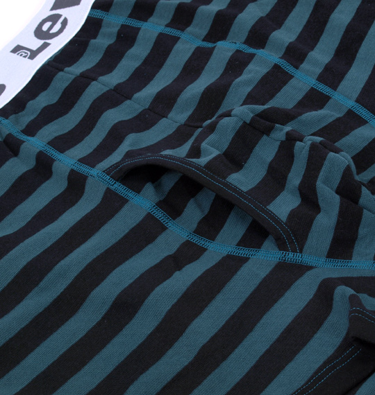 Levi's ボーダーDRYボクサーパンツ グリーン×ブラック