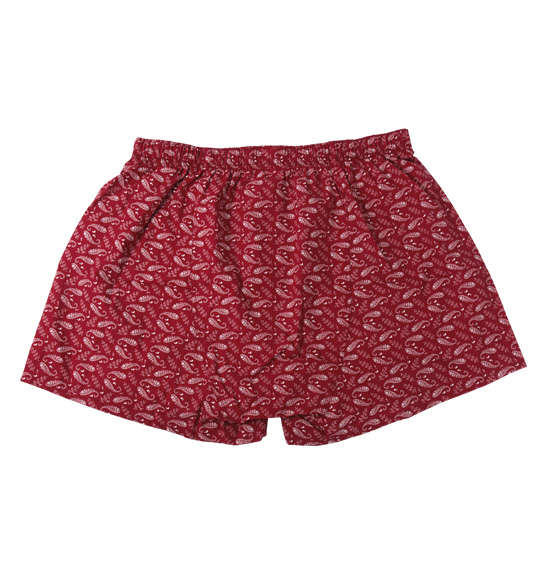 Levi's 2Pバンダナ柄トランクス レッド×ネイビー