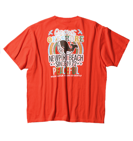 OFF SHORE 半袖Tシャツ オレンジ