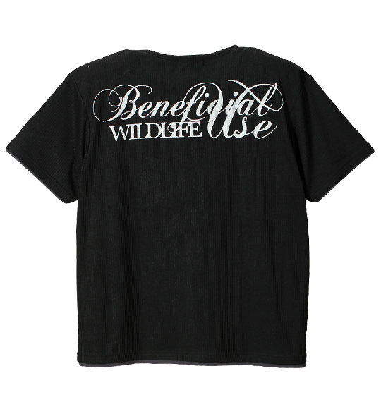 WILD LIFE フェイク半袖VTシャツ ブラック