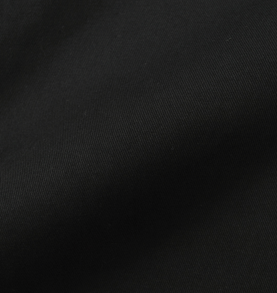 DICKIES チノパンツ ブラック