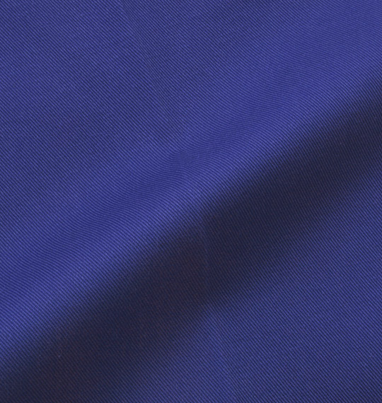 DICKIES ツイルワークパンツ バイオレットブルー