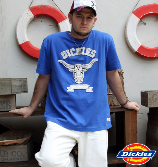 DICKIES Tシャツ(半袖) ブルー